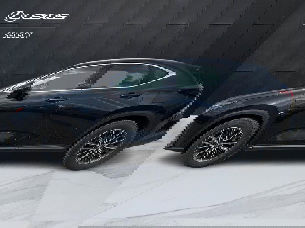 Lexus NX usata a Catania (3)