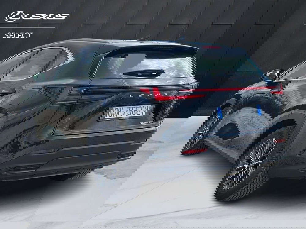 Lexus NX usata a Catania (5)