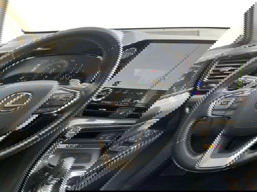 Lexus NX usata a Catania (8)