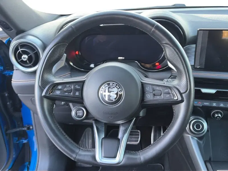 Alfa Romeo Tonale usata a Campobasso (19)