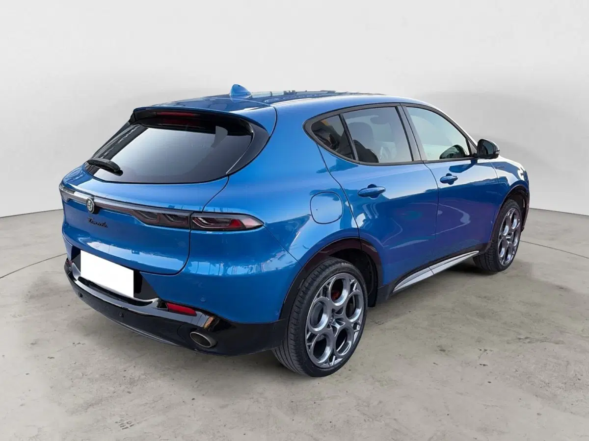 Alfa Romeo Tonale usata a Campobasso (6)