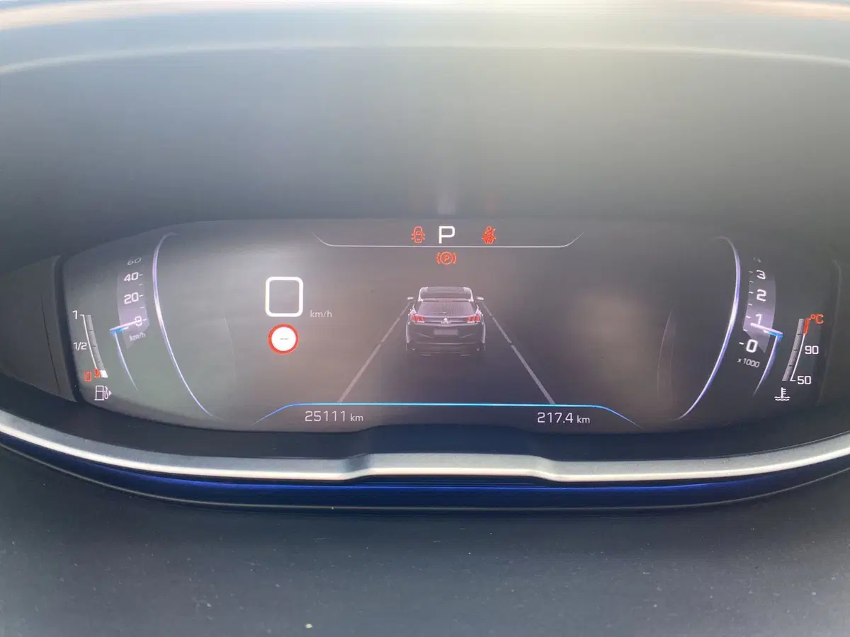 Peugeot 3008 usata a La Spezia (12)