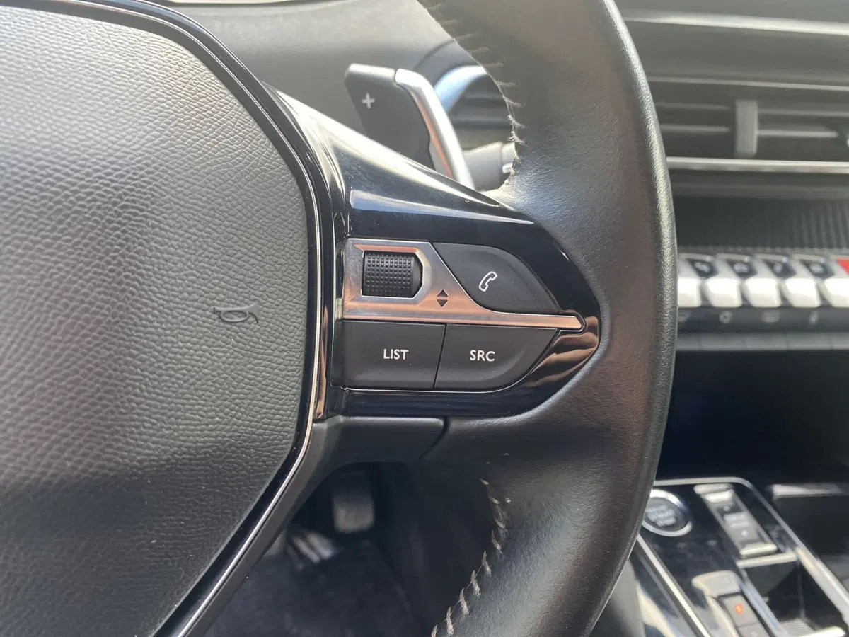 Peugeot 3008 usata a La Spezia (14)