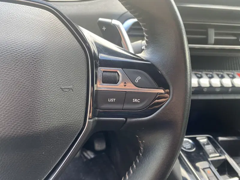 Peugeot 3008 usata a La Spezia (14)