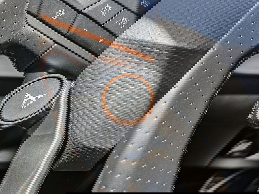 Cupra Formentor usata a Palermo (15)