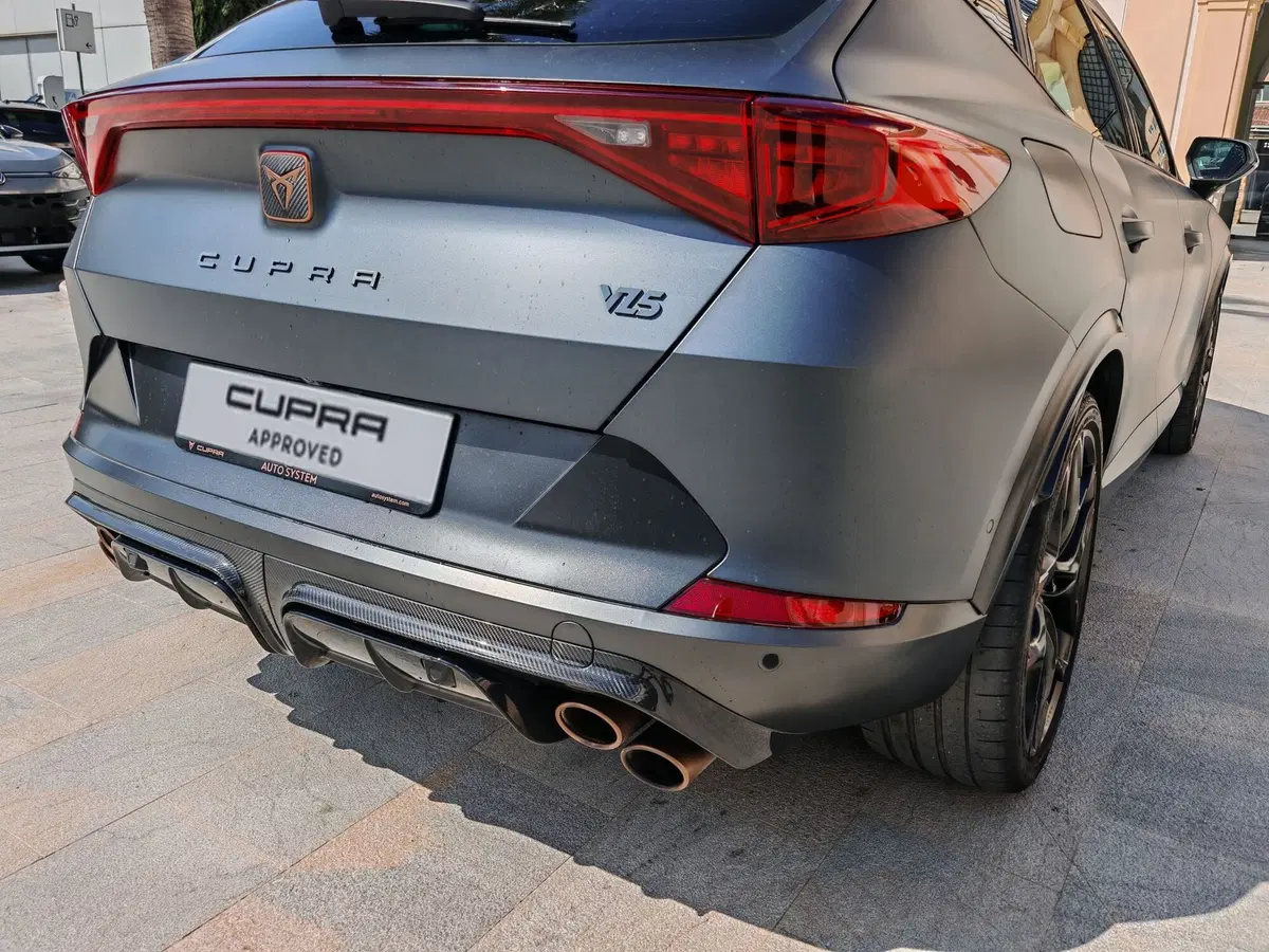 Cupra Formentor usata a Palermo (8)
