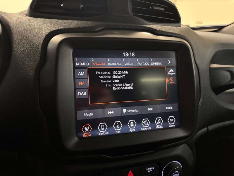 Jeep Renegade usata a Torino (14)