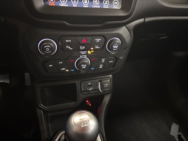 Jeep Renegade usata a Torino (17)