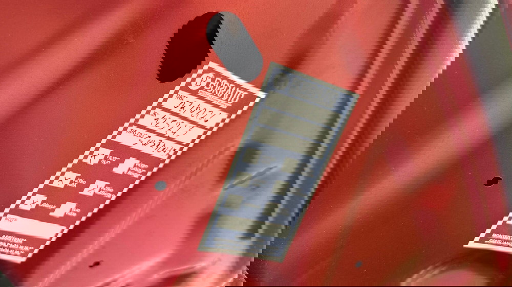 Dacia Sandero usata a Treviso (15)