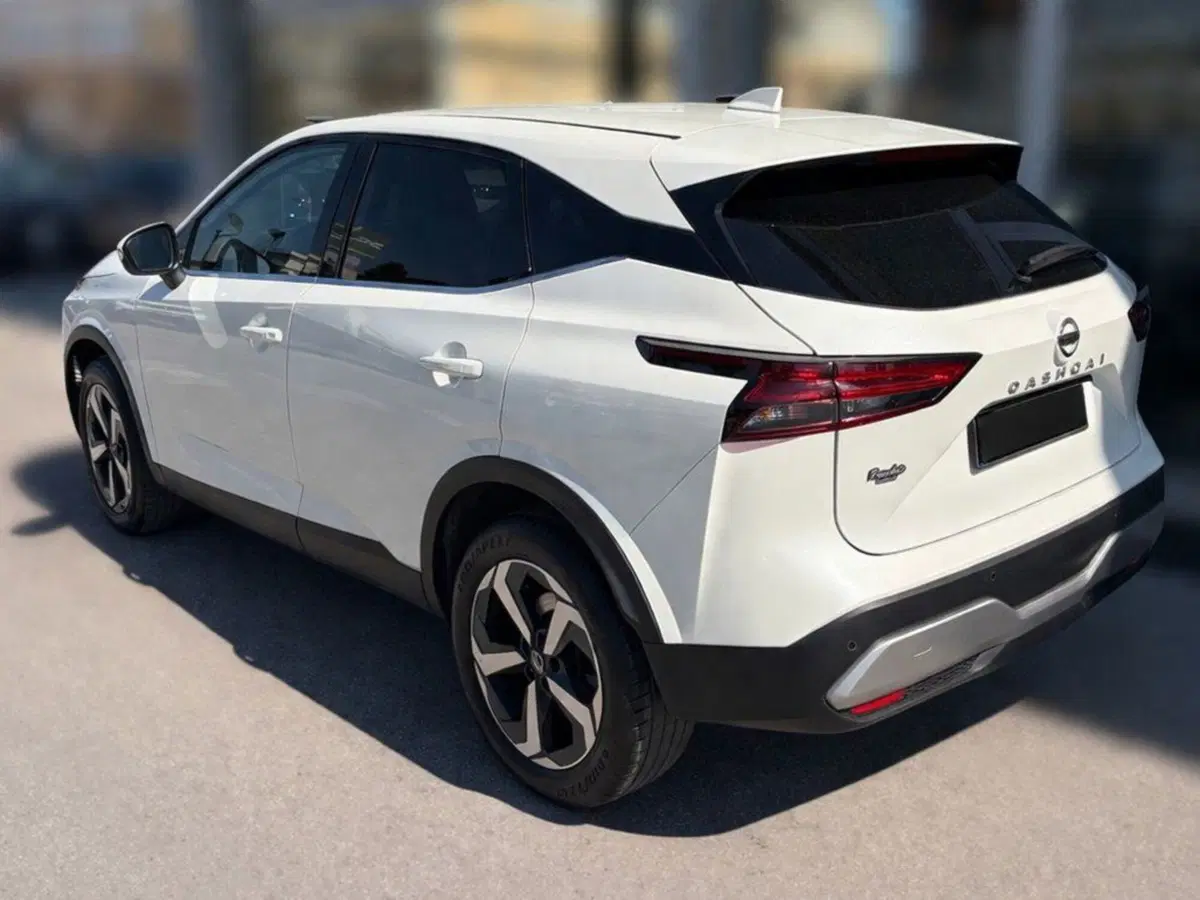 Nissan Qashqai usata a Rimini (2)