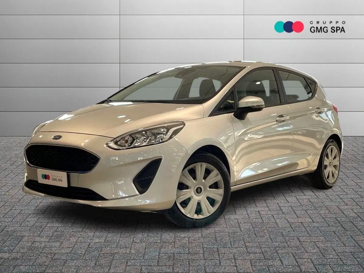 Ford Fiesta usata a Pistoia