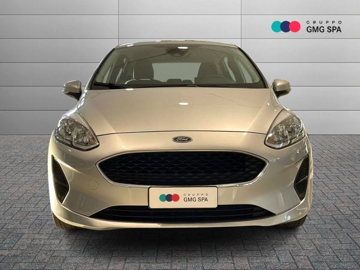 Ford Fiesta usata a Pistoia (2)