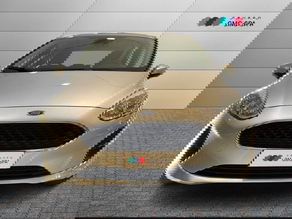 Ford Fiesta usata a Pistoia (2)