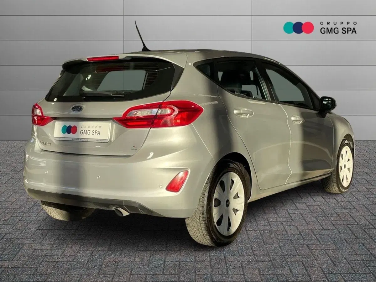 Ford Fiesta usata a Pistoia (3)