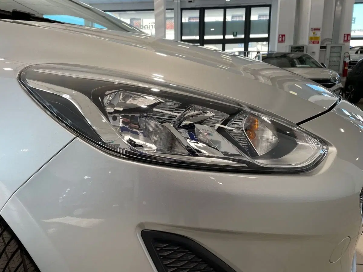 Ford Fiesta usata a Pistoia (7)