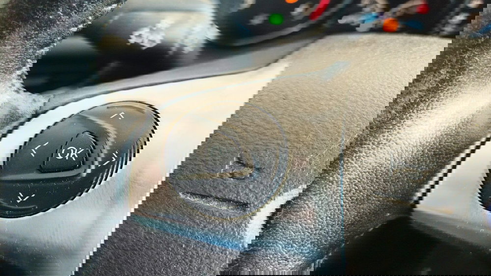 Ford C-Max usata a Firenze (18)