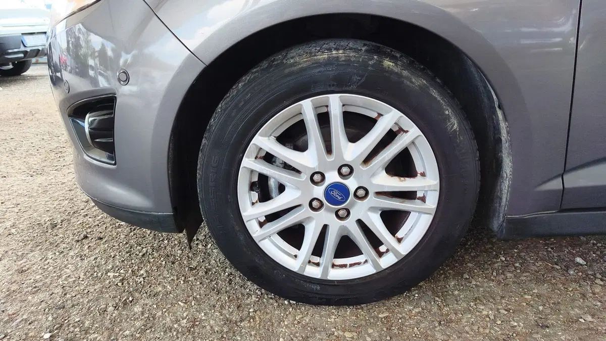 Ford C-Max usata a Firenze (5)