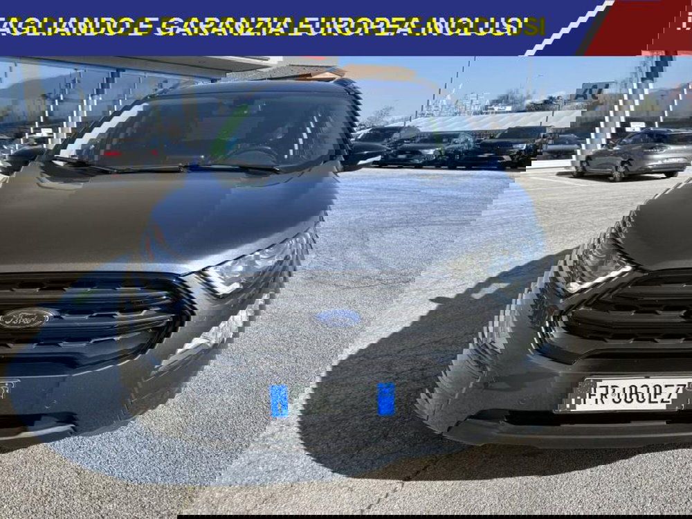 Ford EcoSport usata a Cuneo (2)