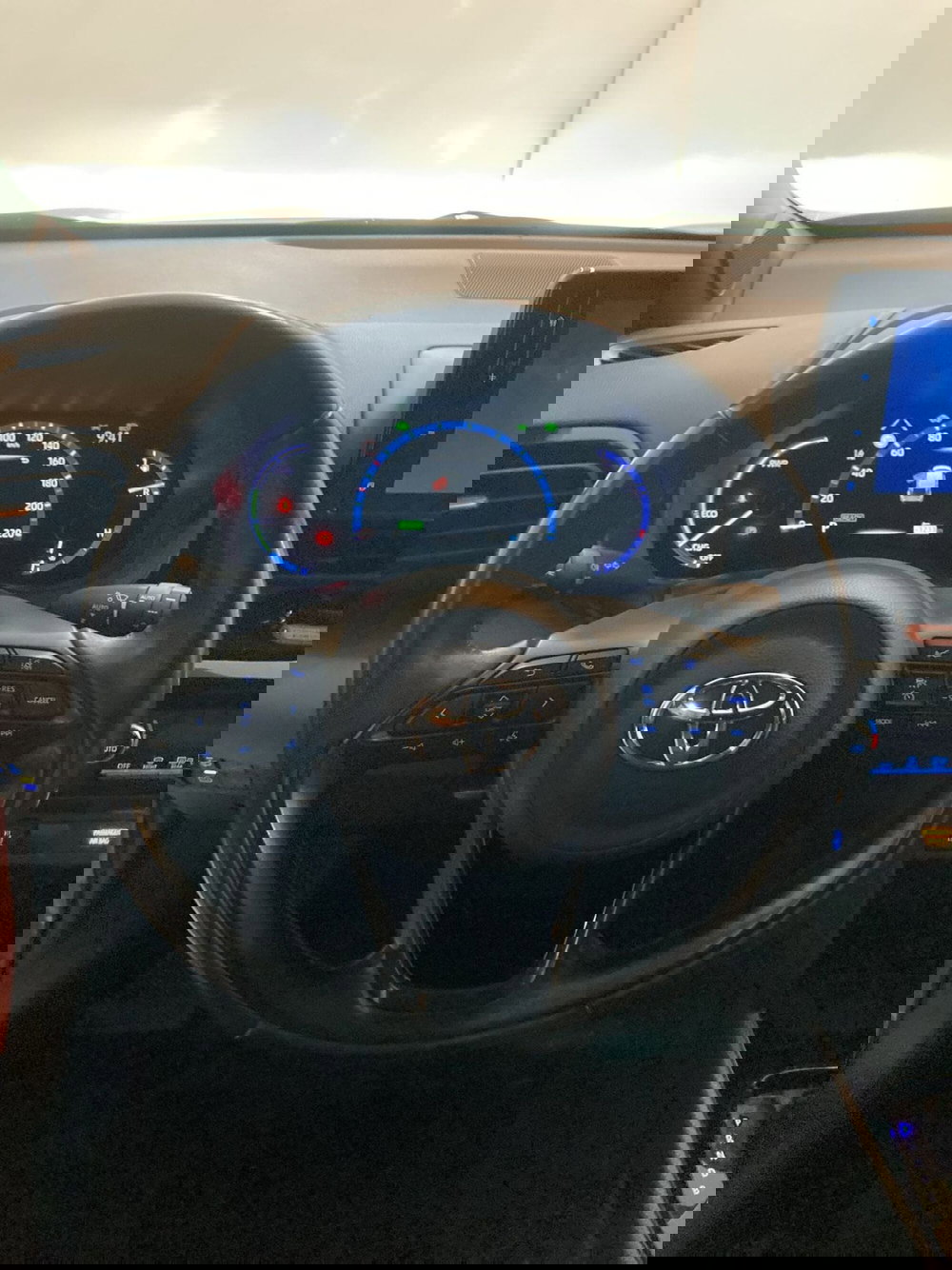 Toyota Yaris Cross usata a Barletta-Andria-Trani (11)