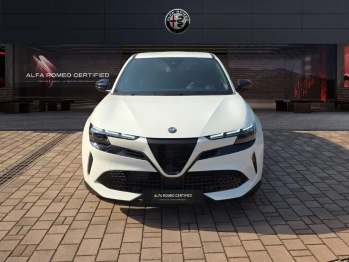 Alfa Romeo Junior usata a Monza e Brianza (2)
