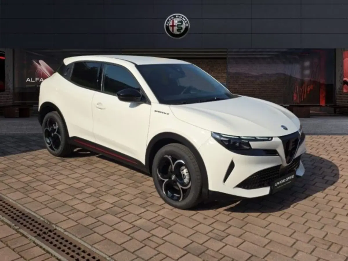 Alfa Romeo Junior usata a Monza e Brianza (3)