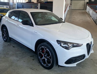 Alfa Romeo Stelvio 2.2 t Veloce Q4 210cv auto del 2024 usata a Orvieto