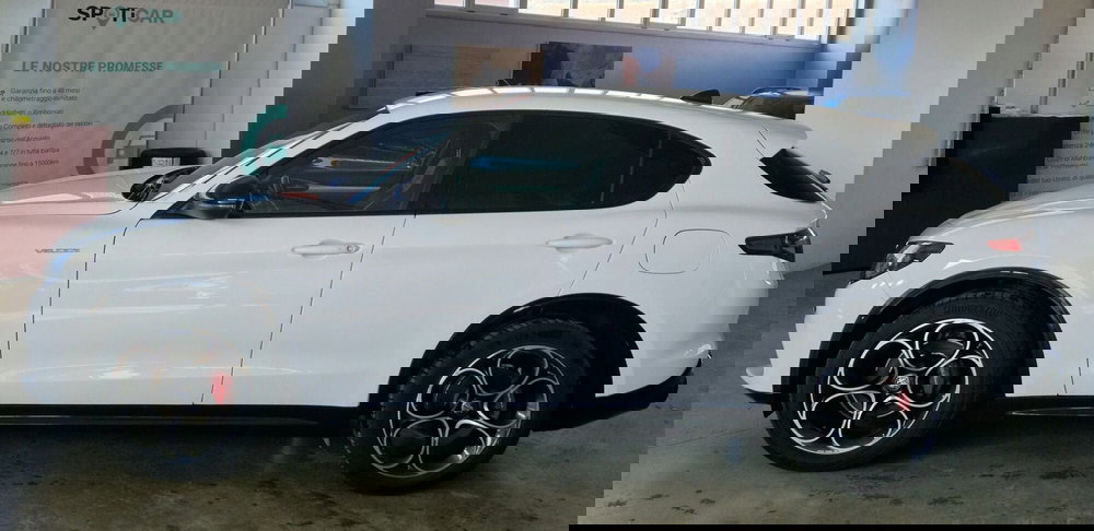 Alfa Romeo Stelvio usata a Terni (3)