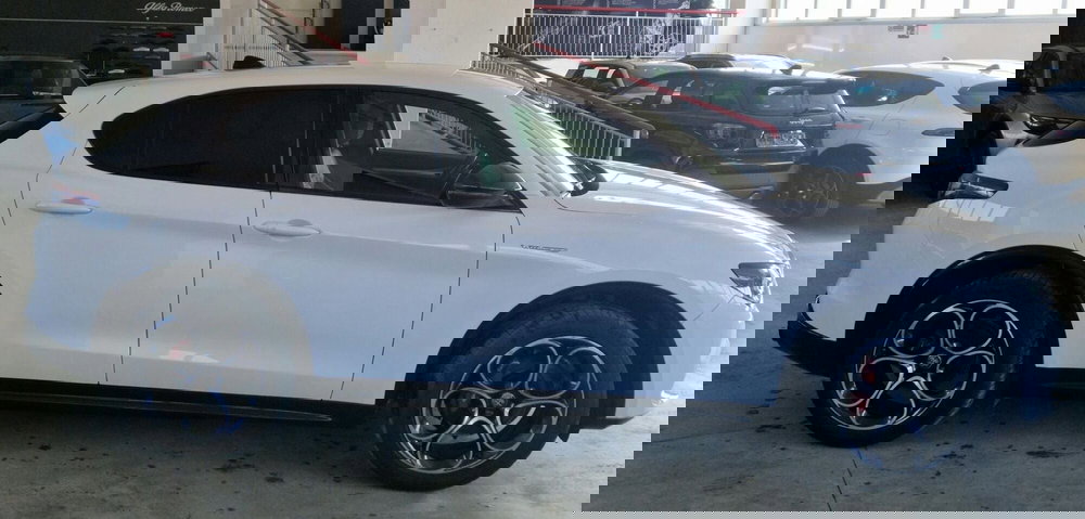 Alfa Romeo Stelvio usata a Terni (6)