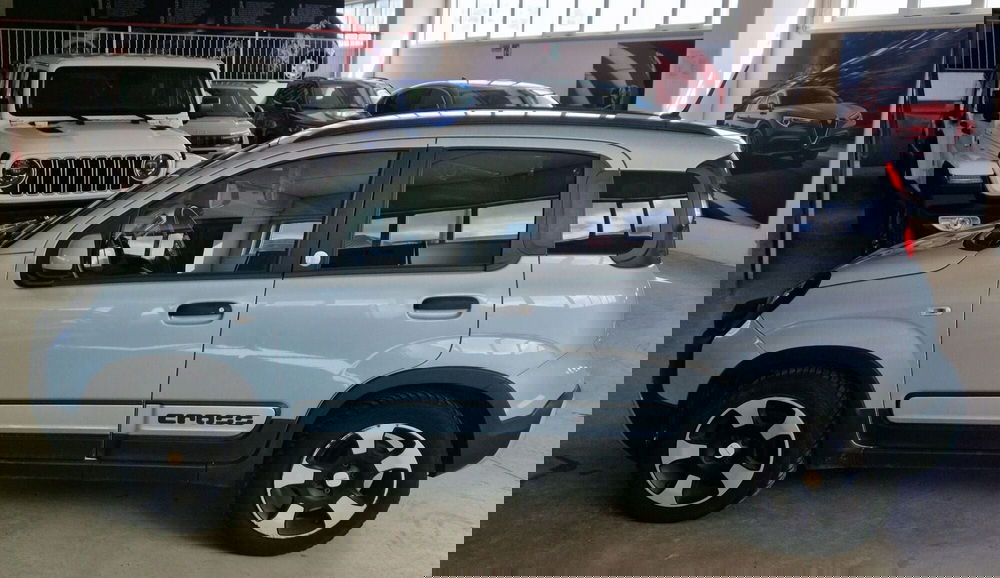 Fiat Panda usata a Terni (3)