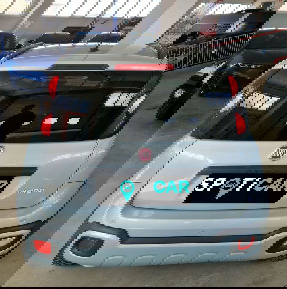 Fiat Panda usata a Terni (5)