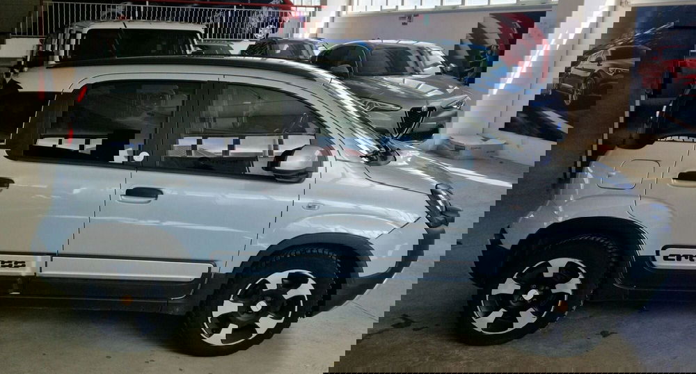 Fiat Panda usata a Terni (6)