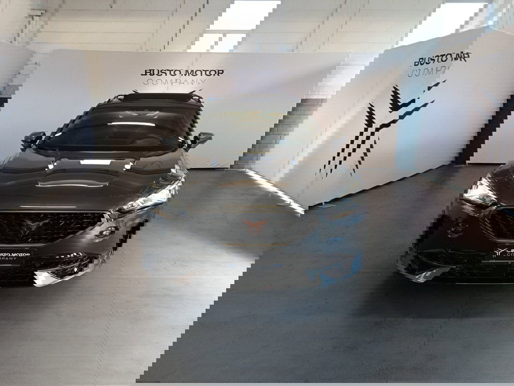 Cupra Formentor usata a Varese (2)