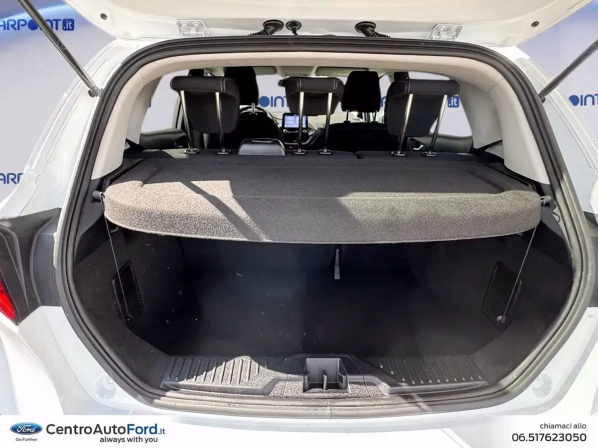 Ford Fiesta usata a Roma (10)