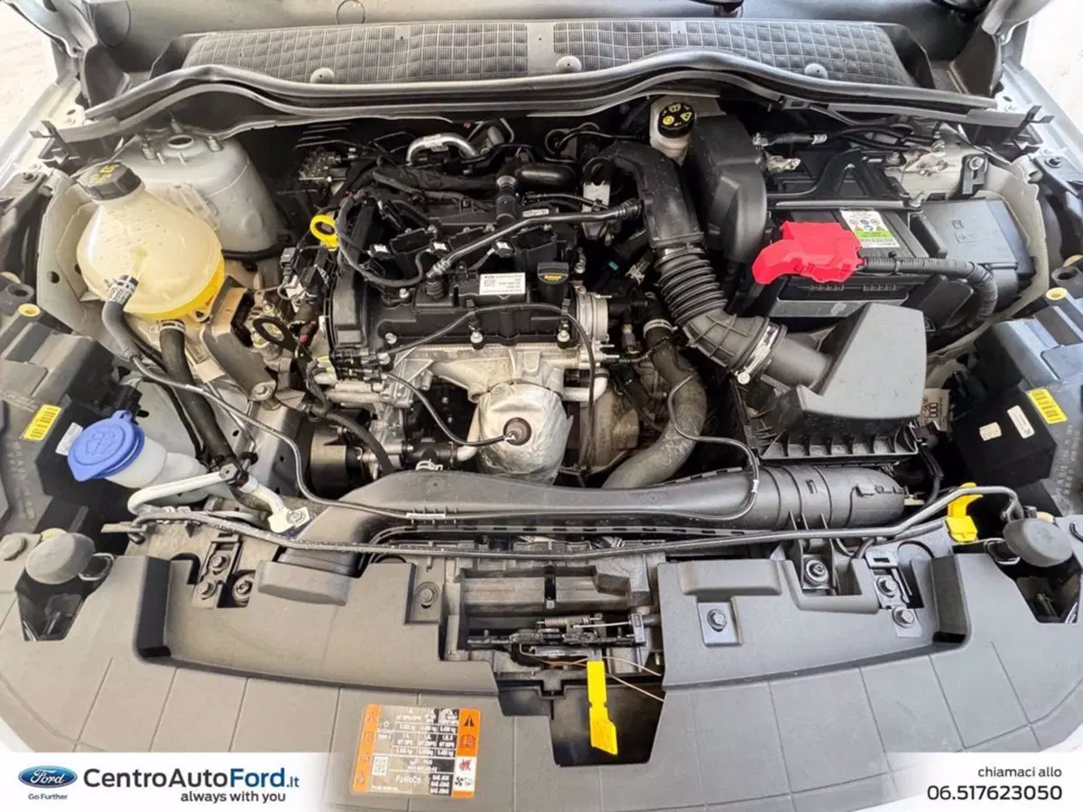 Ford Fiesta usata a Roma (11)