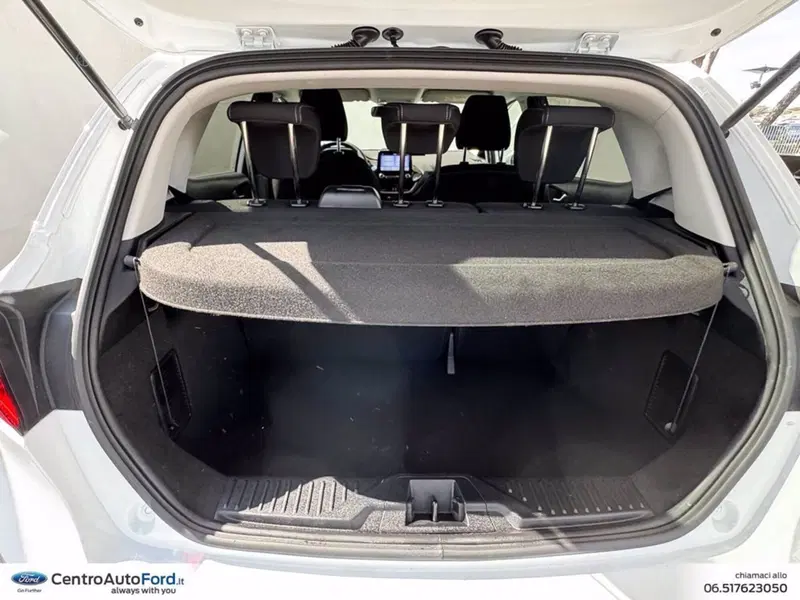 Ford Fiesta usata a Roma (11)