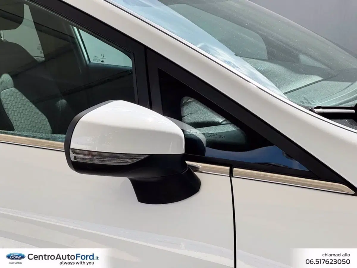 Ford Fiesta usata a Roma (14)