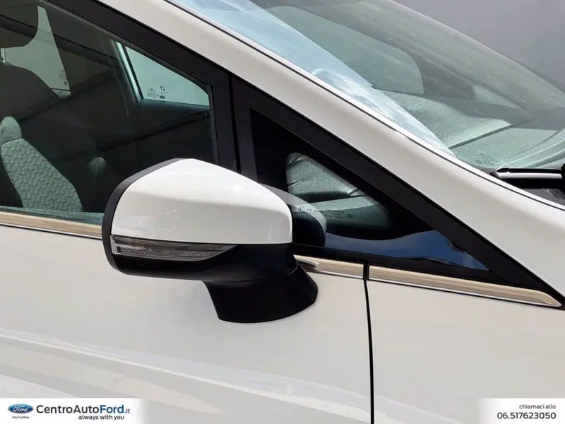 Ford Fiesta usata a Roma (15)