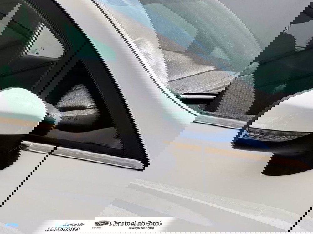 Ford Fiesta usata a Roma (15)