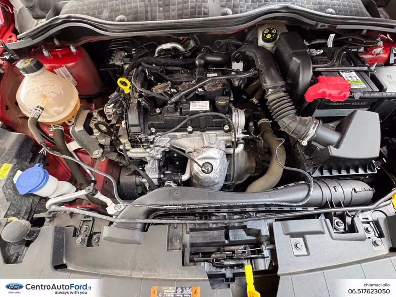 Ford Fiesta usata a Roma (12)