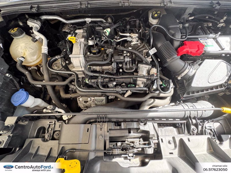 Ford Puma usata a Roma (12)