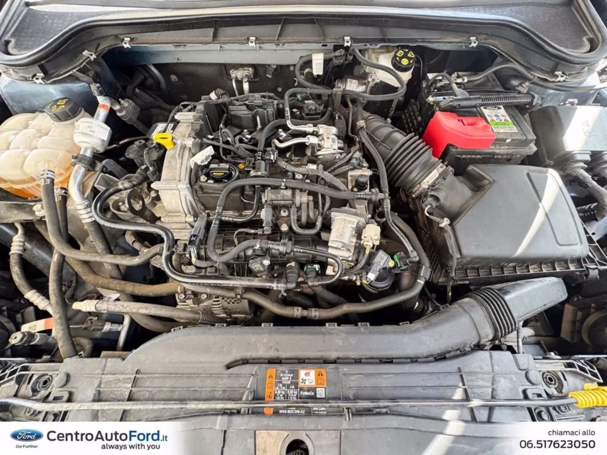 Ford Focus Station Wagon usata a Roma (12)
