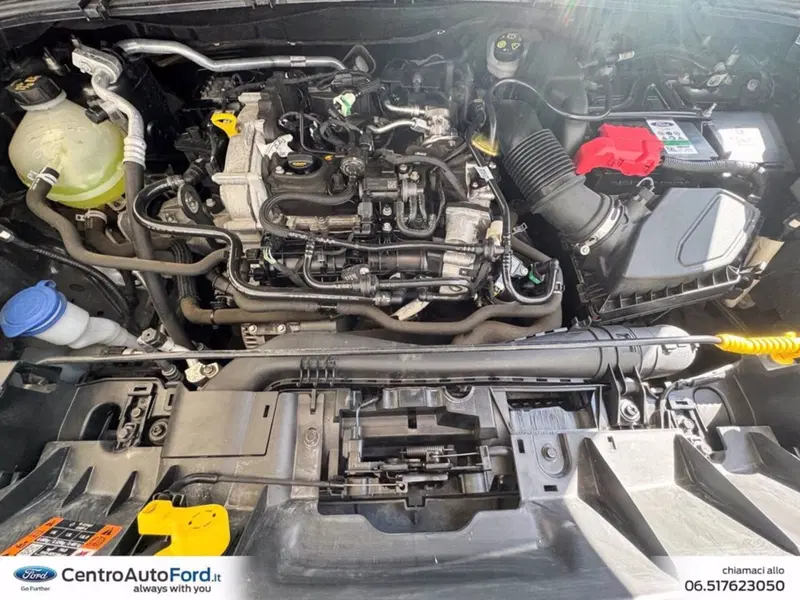 Ford Puma usata a Roma (12)