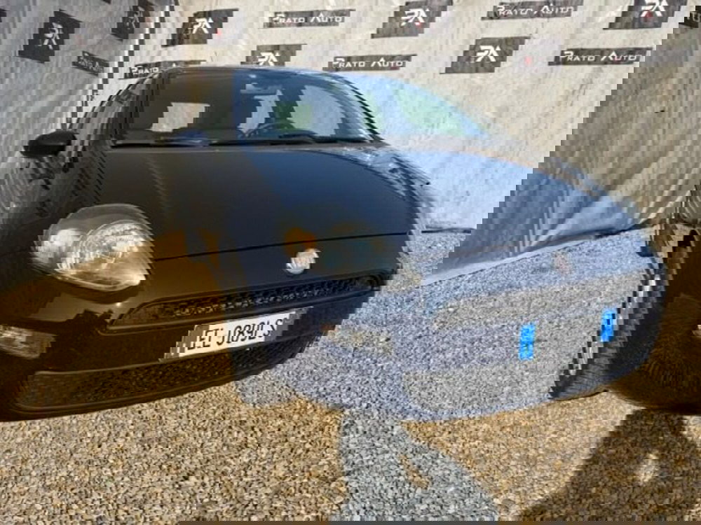 Fiat Punto usata a Prato (3)