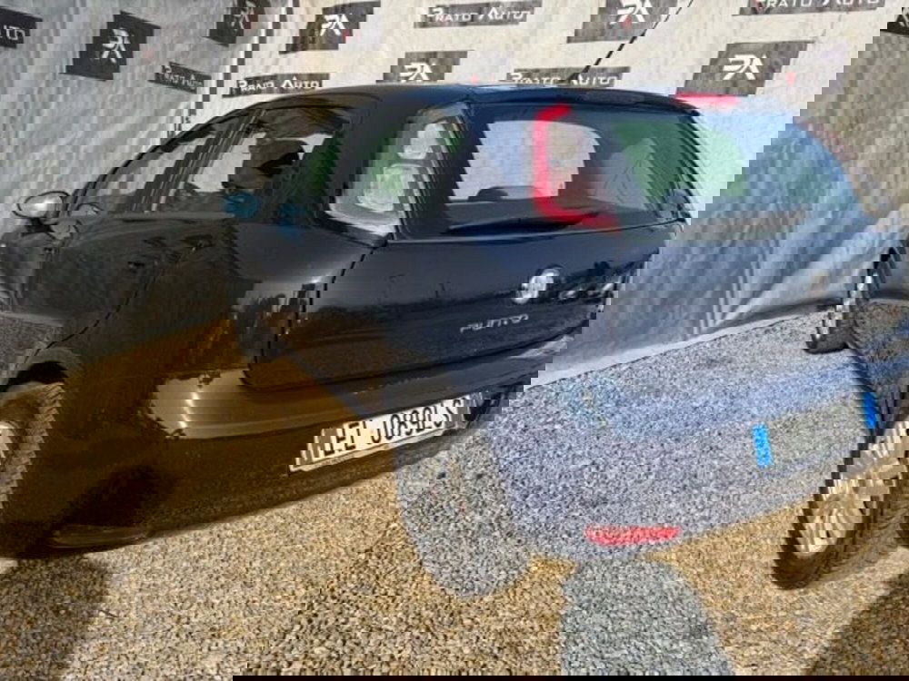 Fiat Punto usata a Prato (9)