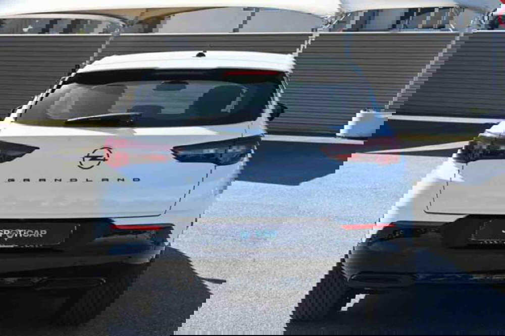 Opel Grandland usata a Torino (6)