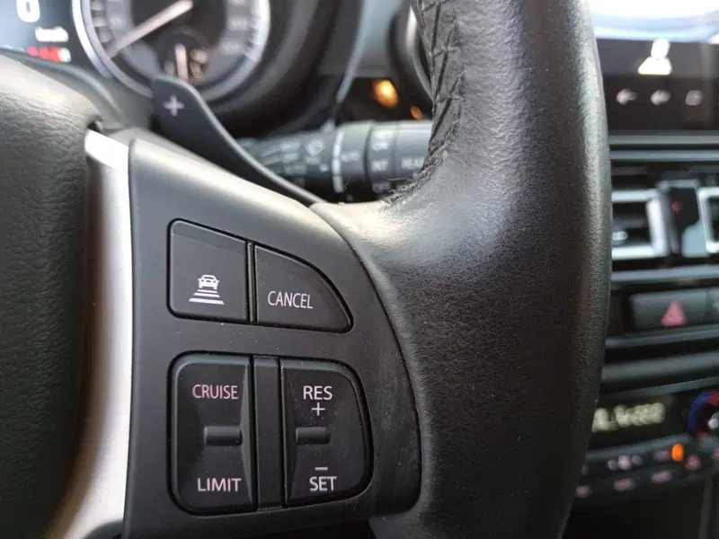 Suzuki S-Cross usata a Alessandria (18)