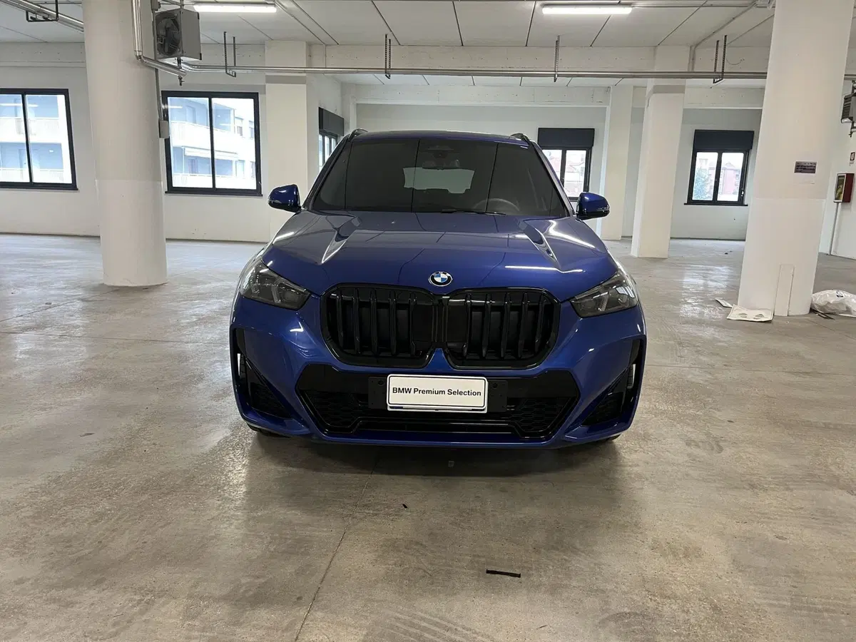 BMW X1 nuova a Torino (2)