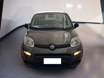 Fiat Panda Cross Cross 1.0 FireFly S&amp;S Hybrid del 2023 usata a Torino