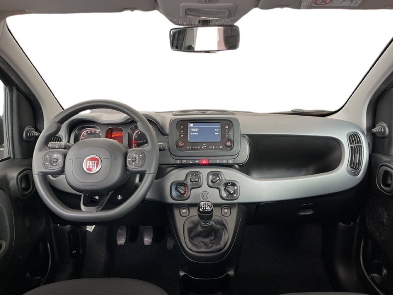Fiat Panda Cross usata a Torino (10)