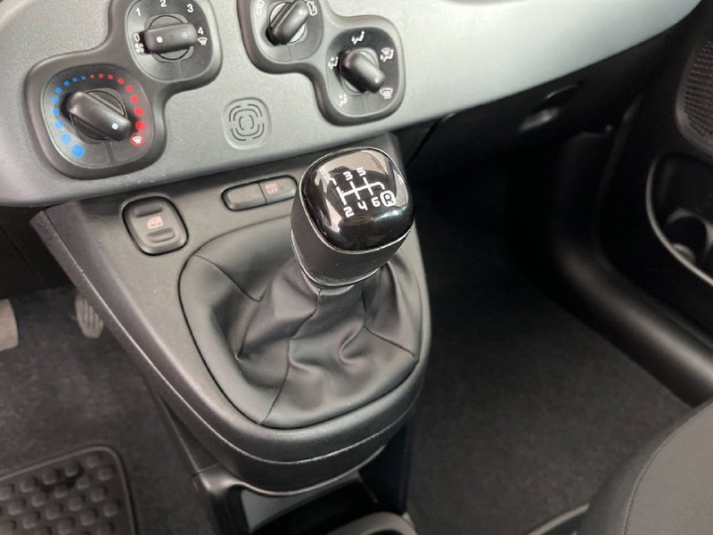 Fiat Panda Cross usata a Torino (12)